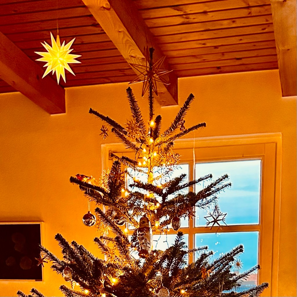 Zum Jahreswechsel 24/25